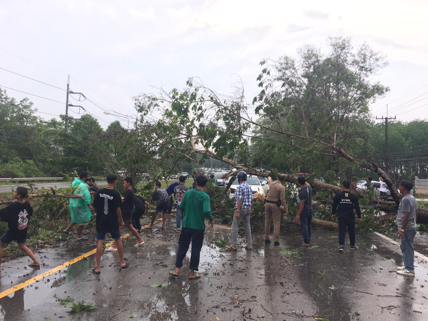 พายุฝนถล่มตราด ต้นไม้ริมถนนล้มทับรถ 3 คัน พายุฝนถล่มตราด ต้นไม้ริมถนนล้มทับรถ 3 คัน