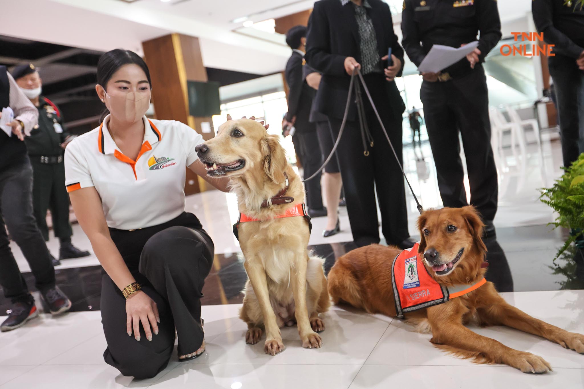 อวดความน่ารัก เซียร่า-ซาฮาร่า  ชุดปฎิบัติงานทีม USAR Thailand เข้าพบผู้ว่า กทม.