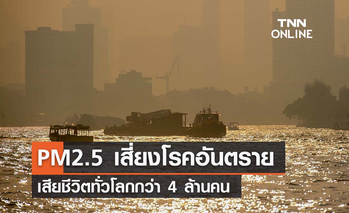 ฝุ่น PM2.5 ปัจจัยเสี่ยงเกิดโรคอันตราย เสียชีวิตทั่วโลกกว่า 4 ล้านคน 