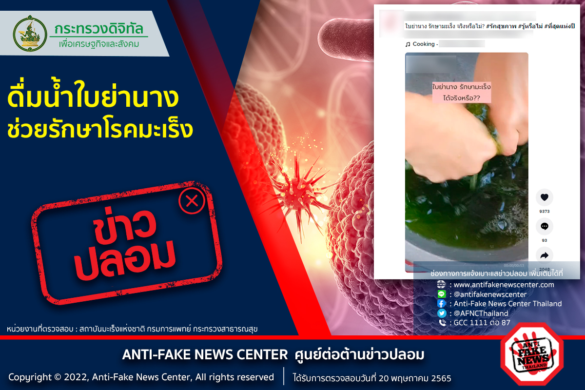 ไขข้อสงสัย “ดื่มน้ำใบย่านาง” ช่วยรักษาโรคมะเร็งได้ จริงหรือไม่? ไขข้อสงสัย “ดื่มน้ำใบย่านาง” ช่วยรักษาโรคมะเร็งได้ จริงหรือไม่?