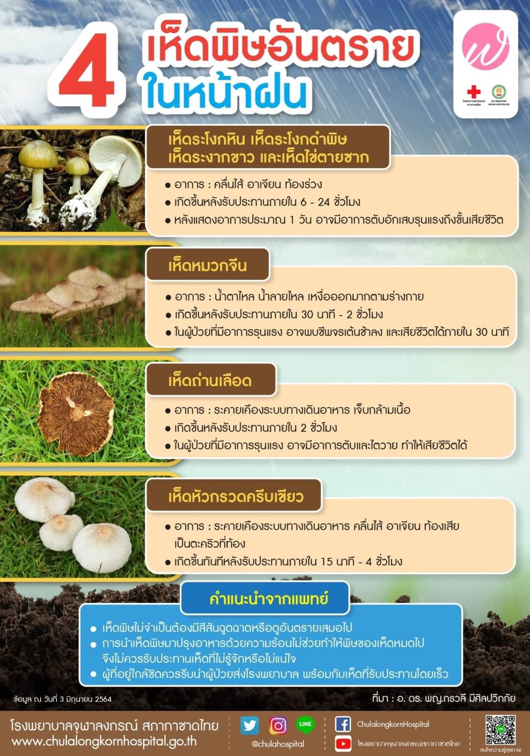 4 เห็ดพิษอันตราย ในหน้าฝน