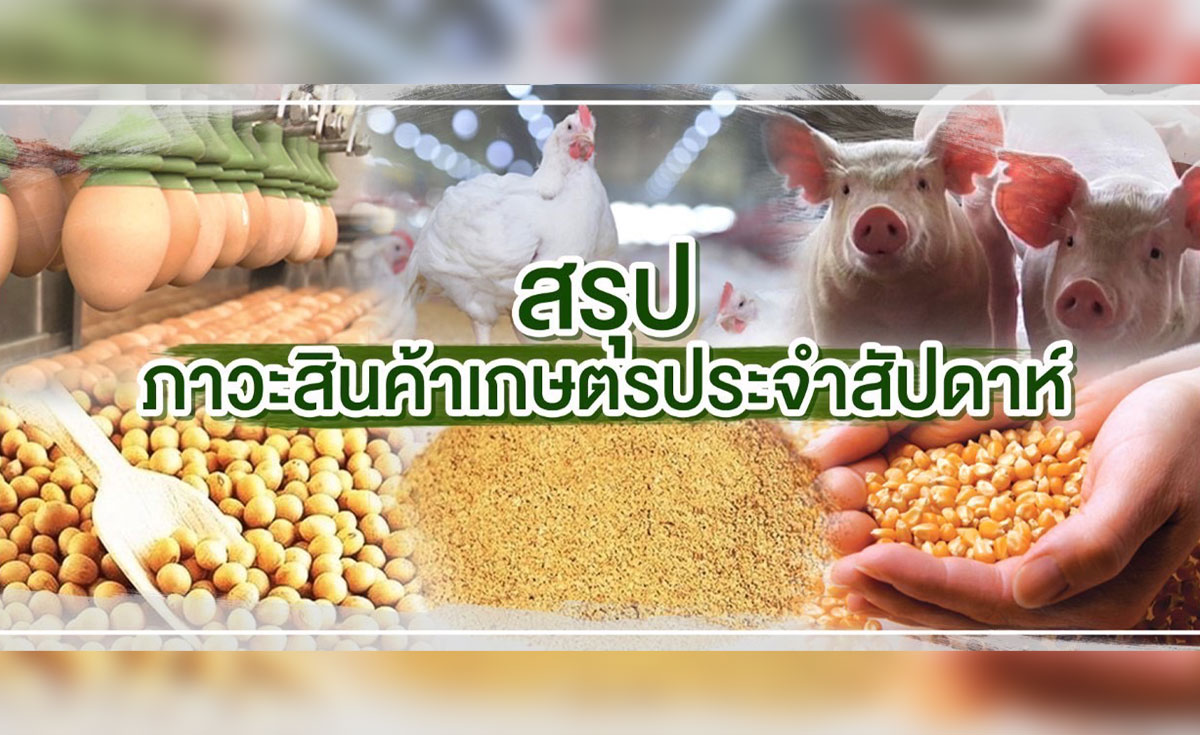 สรุปภาวะสินค้าเกษตรประจำสัปดาห์ วันที่ 28 พฤศจิกายน – 2 ธันวาคม 2565