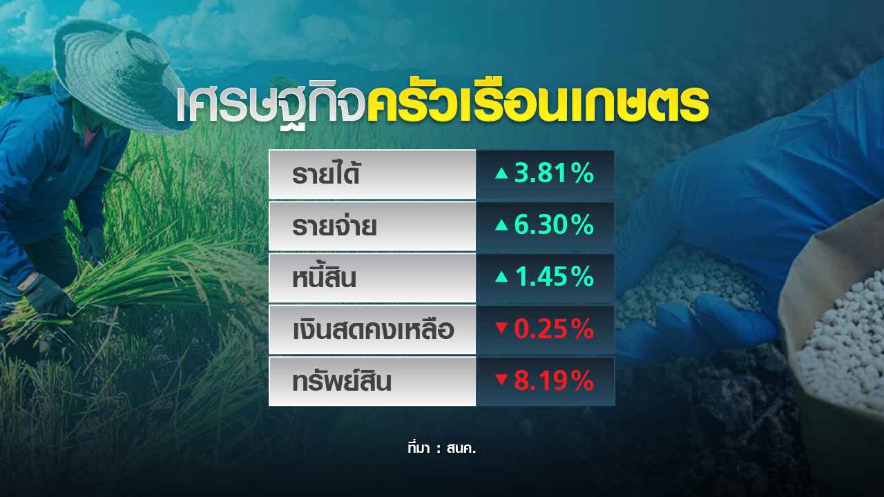 ชาวนาไทยยังยากจน หวัง ปุ๋ยคนละครึ่ง ดูแล ชาวนาไทยยังยากจน หวัง ปุ๋ยคนละครึ่ง ดูแล