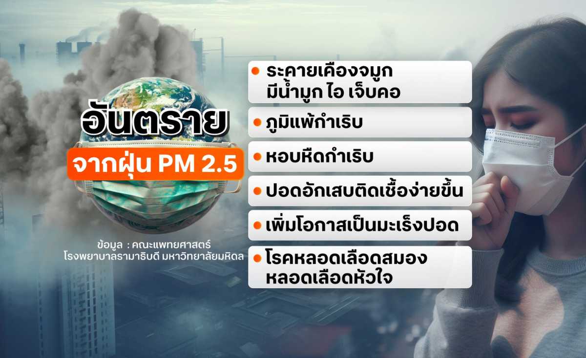 ฝุ่น PM2.5 ภัยร้ายใกล้ตัวทำลายสุขภาพ ฝุ่น PM2.5 ภัยร้ายใกล้ตัวทำลายสุขภาพ