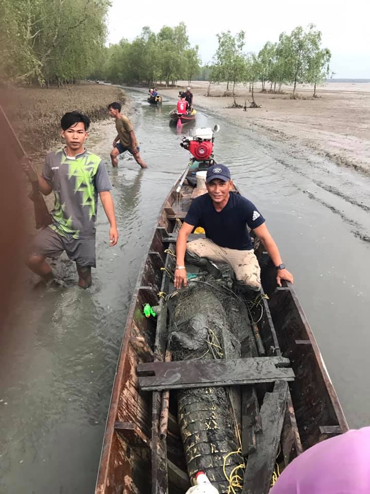 ชาวบ้านตะลึง! เหวี่ยงแหจับจระเข้ยักษ์ยาว 4 เมตร ชาวบ้านตะลึง! เหวี่ยงแหจับจระเข้ยักษ์ยาว 4 เมตร