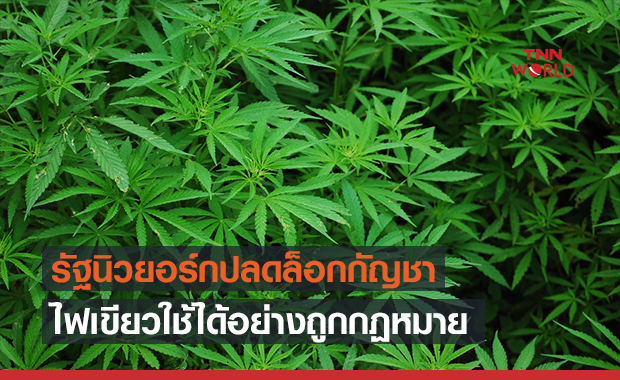 รัฐนิวยอร์กจ่อไฟเขียวอนุญาตให้ใช้กัญชาถูกกม.