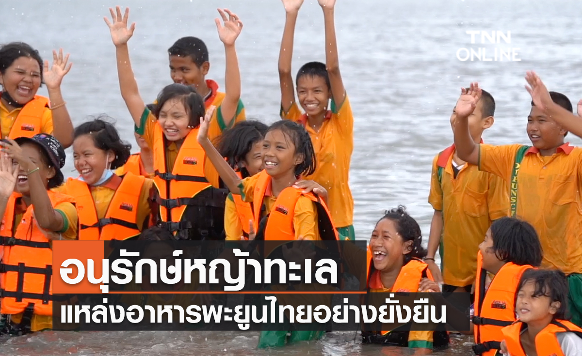 (คลิป) Save Our Seas ตอนที่ 13 อนุรักษ์หญ้าทะเล แหล่งอาหารพะยูนไทยอย่างยั่งยืน