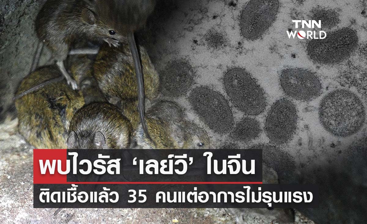 พบ ‘เลย์วี ’ ไวรัสตัวใหม่ในจีน มีผู้ป่วยติดเชื้อแล้ว 35 คน