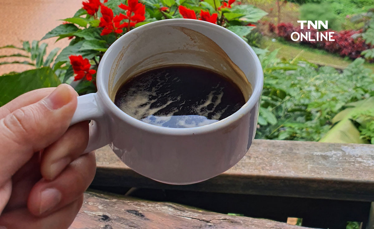 ดื่มกาแฟมากไป เสี่ยงกระทบ 4 ระบบของร่างกาย ดื่มกาแฟมากไป เสี่ยงกระทบ 4 ระบบของร่างกาย