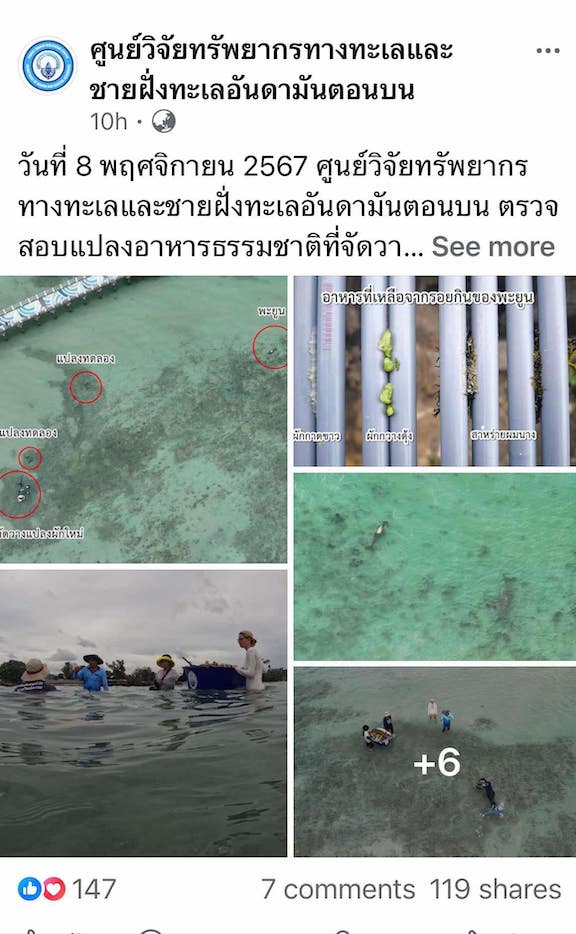 สำเร็จ ! พะยูนหลังขาว หาดราไวย์ ยอมกินผักอาหารเสริมทดแทนหญ้าทะเลแล้ว สำเร็จ ! พะยูนหลังขาว หาดราไวย์ ยอมกินผักอาหารเสริมทดแทนหญ้าทะเลแล้ว