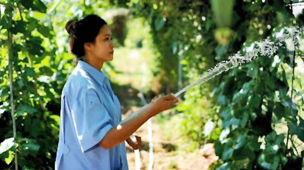 CPF เดินหน้า “Greenfarm” ดันใช้ “ไบโอแก๊ส-โซลาร์ฟาร์ม” เป็นพลังงานทดแทน CPF เดินหน้า “Greenfarm” ดันใช้ “ไบโอแก๊ส-โซลาร์ฟาร์ม” เป็นพลังงานทดแทน