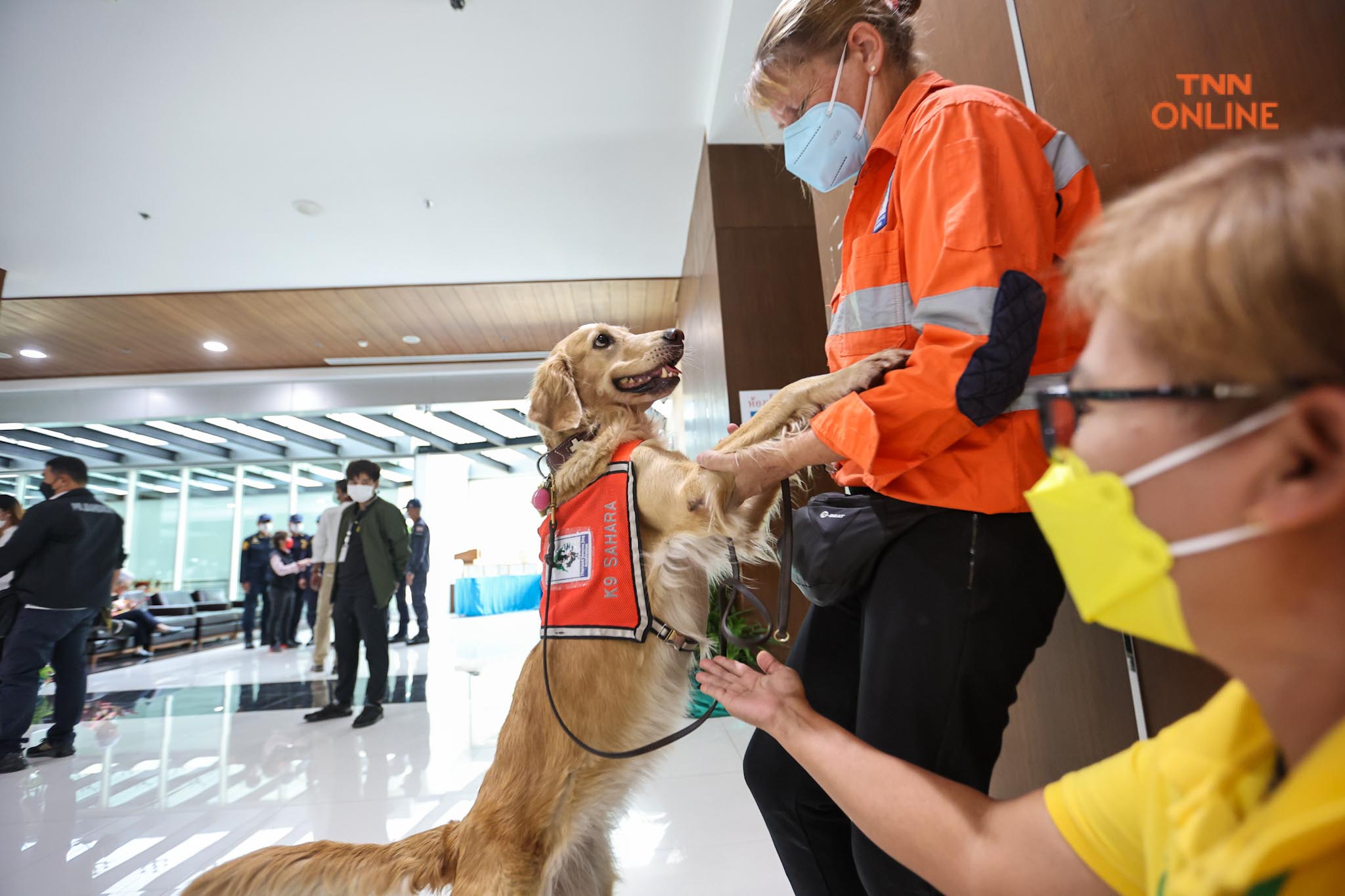อวดความน่ารัก เซียร่า-ซาฮาร่า  ชุดปฎิบัติงานทีม USAR Thailand เข้าพบผู้ว่า กทม.
