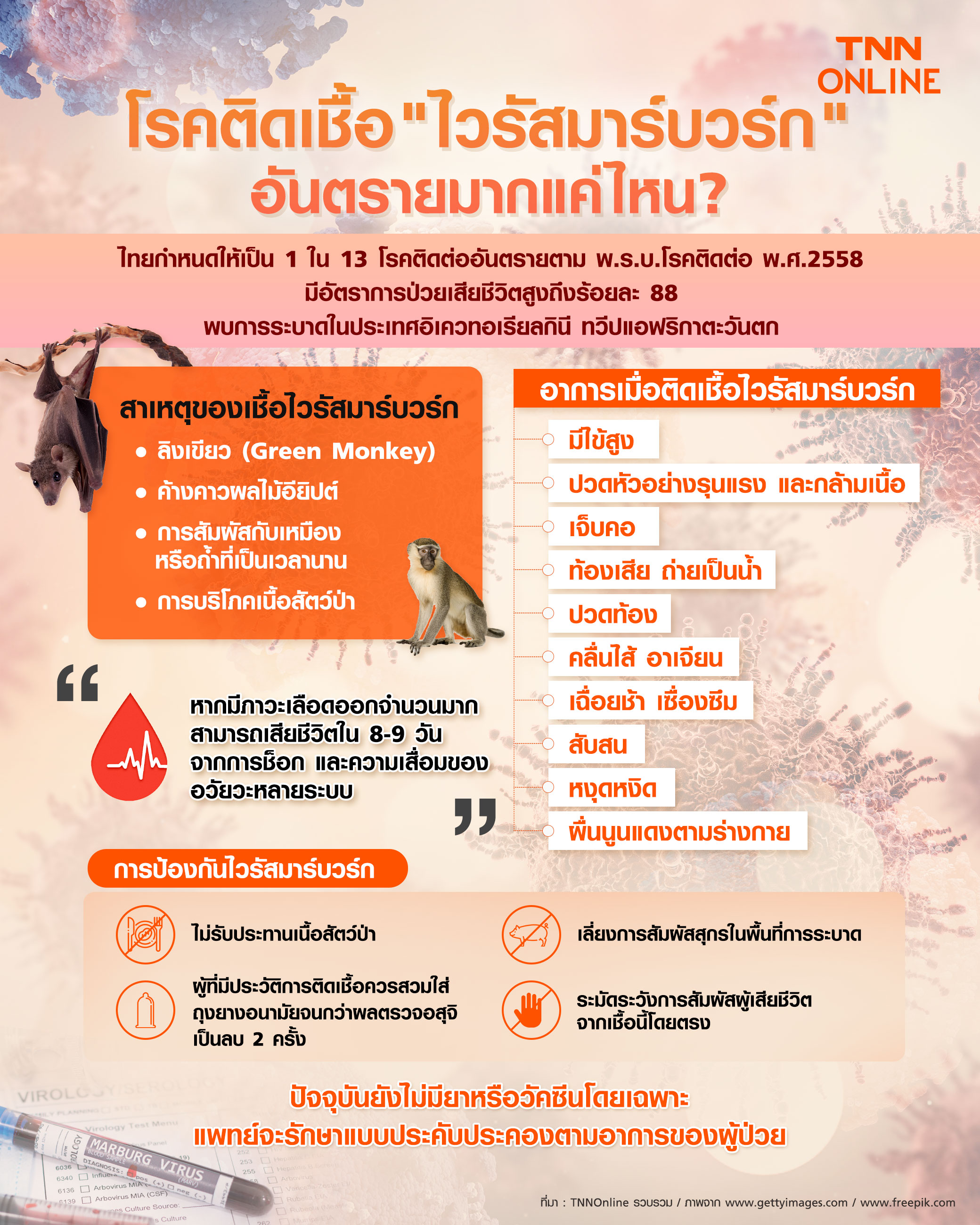 ไวรัสมาร์บวร์ก อันตรายมากแค่ไหน-ทำไมอัตราป่วยเสียชีวิตถึงสูง ไวรัสมาร์บวร์ก อันตรายมากแค่ไหน-ทำไมอัตราป่วยเสียชีวิตถึงสูง
