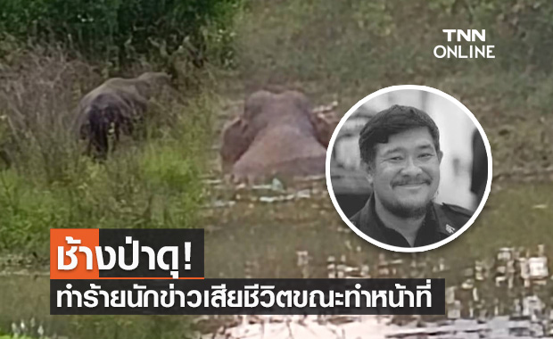 สุดเศร้า! นักข่าวจันทบุรีถูก พลายโหนก ช้างป่า ทำร้ายจนเสียชีวิตขณะทำหน้าที่