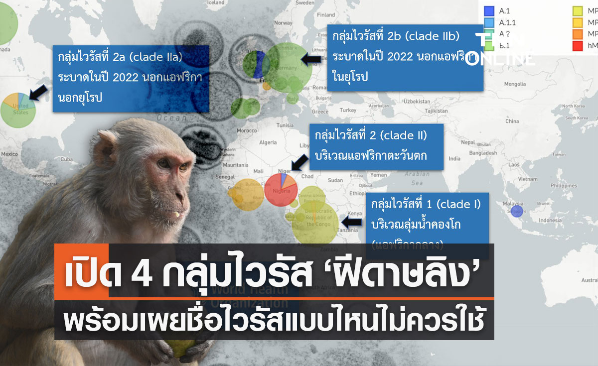 ศูนย์จีโนมฯ เปิด 4 กลุ่มเคลด ไวรัส "ฝีดาษลิง" แพร่กระจายที่ไหนบ้าง พร้อมเผยวิธีการตั้งชื่อ
