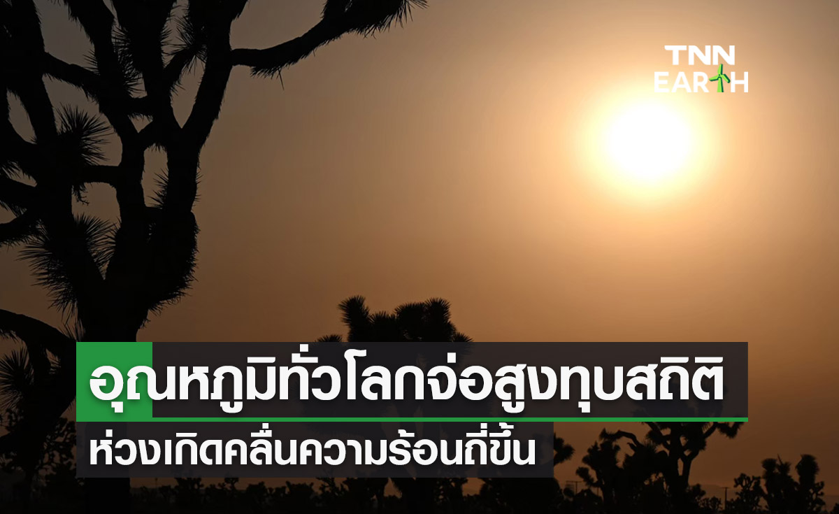 อุณหภูมิทั่วโลกจ่อสูงทุบสถิติต่อเนื่อง ห่วงเกิดคลื่นความร้อนถี่ขึ้น