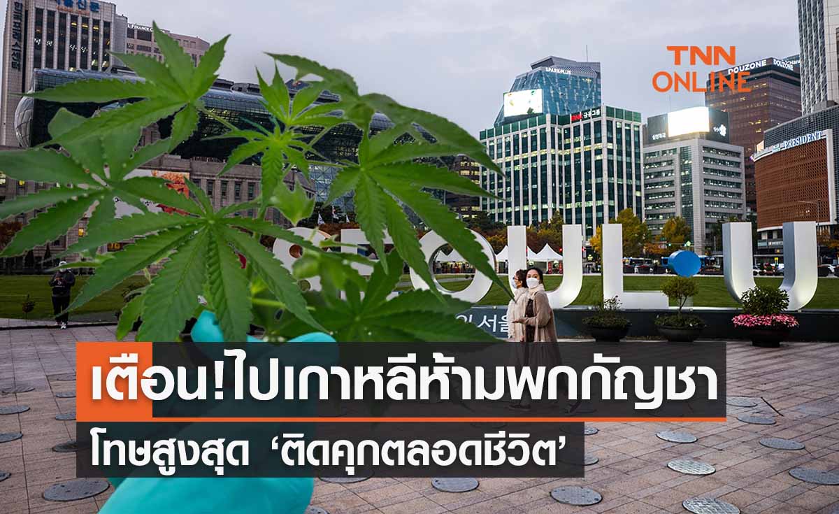 เตือนคนไทย! ไปเกาหลีใต้ห้ามพกผลิตภัณฑ์ผสมกัญชา เสี่ยงคุกตลอดชีวิต