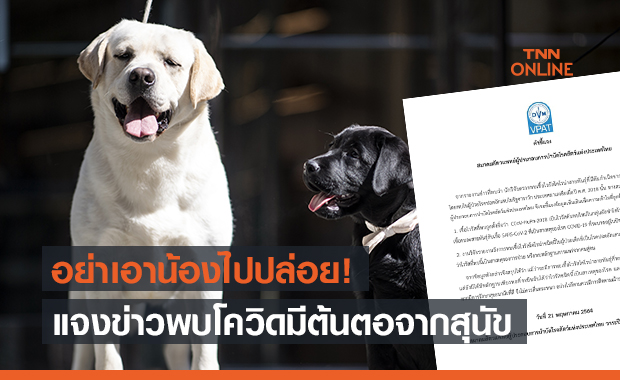 ส.สัตวแพทย์ผู้ประกอบการบำบัดโรคสัตว์ฯ แจงข่าวนักวิจัยเจอเชื้อโควิด-19 มีต้นตอจากสุนัข
