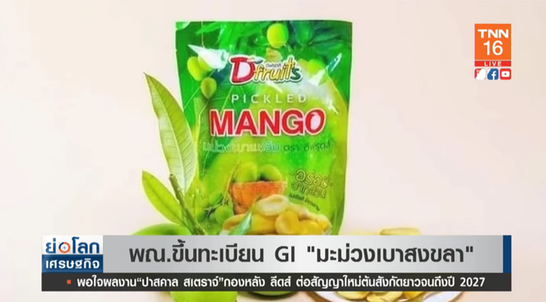 ของดีเมืองไทย! พณ.ขึ้นทะเบียน GI มะม่วงเบาสงขลา