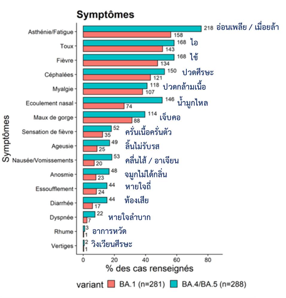 อาการโควิด BA.4 และ BA.5 หากติดเชื้อส่วนใหญ่มีอาการเหล่านี้! อาการโควิด BA.4 และ BA.5 หากติดเชื้อส่วนใหญ่มีอาการเหล่านี้!