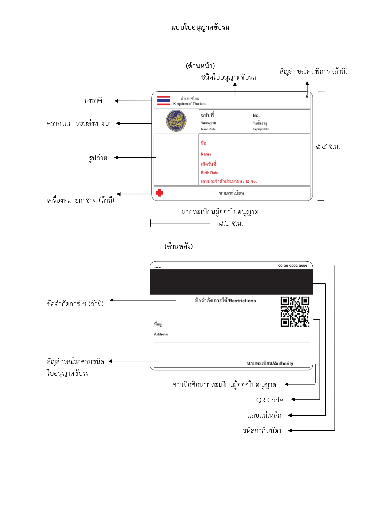 ราชกิจจาฯ เผยแพร่ประกาศกรมการขนส่งทางบกใบอนุญาตขับขี่ใหม่