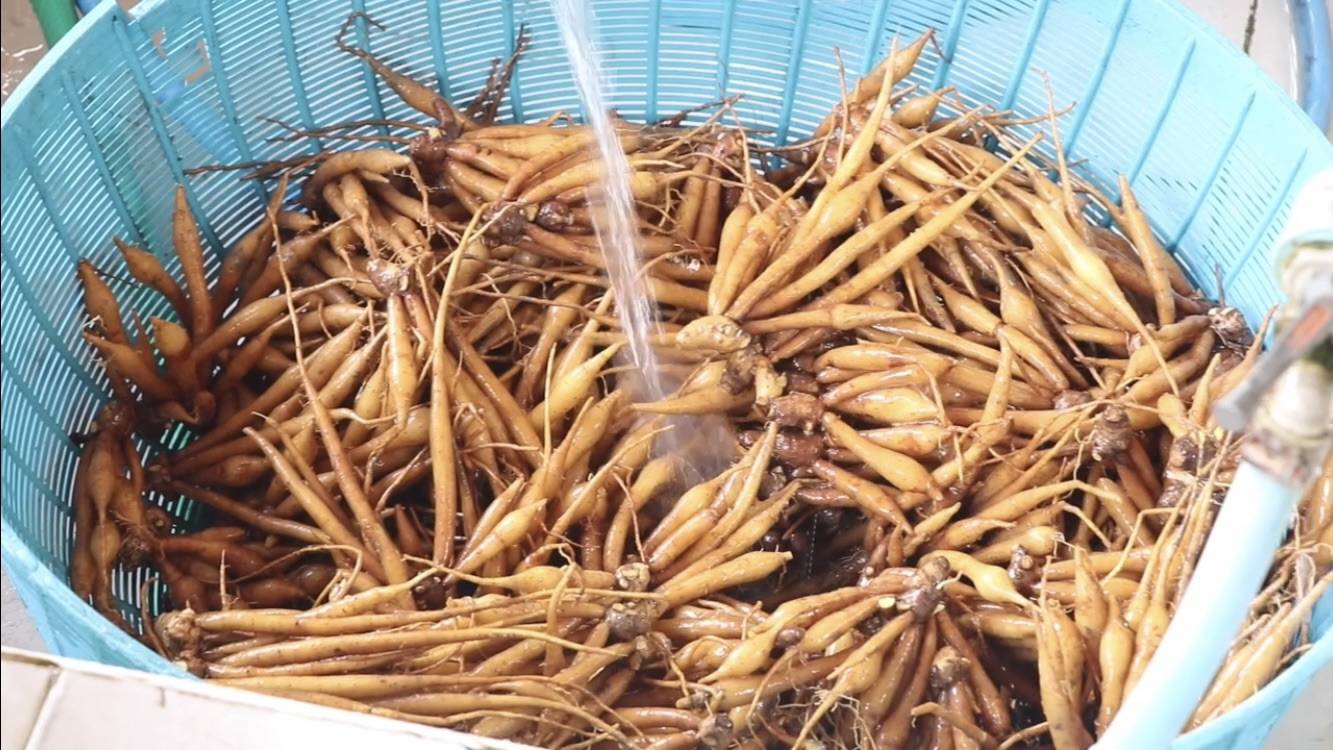 น้ำใจยุคโควิด! เจ้าอาสวัดนนทบุรี ทำน้ำกระชายขาวแจกฟรี