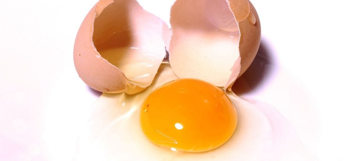 สุดทึ่ง !! นักวิจัยฟินแลนด์ ผลิตไข่ขาวจาก เชื้อรา ได้สำเร็จเป็นครั้งแรก
