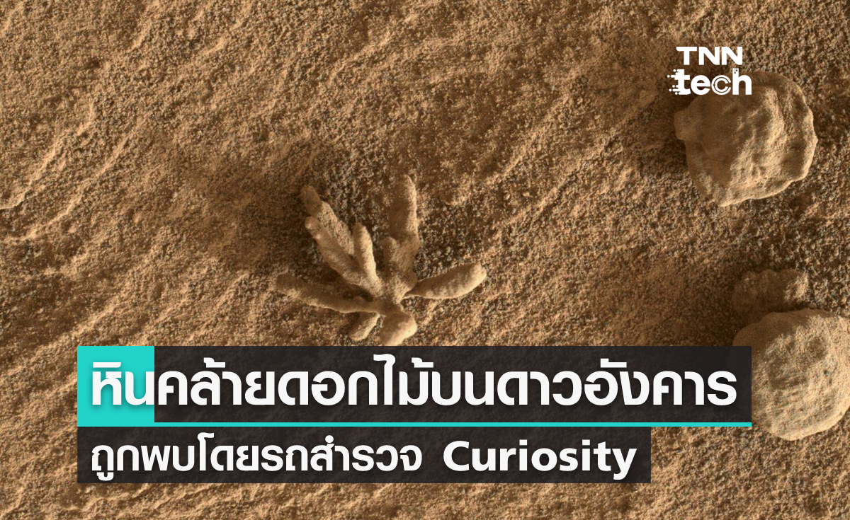 หินคล้ายดอกไม้บนดาวอังคารถูกพบโดยรถสำรวจ Curiosity