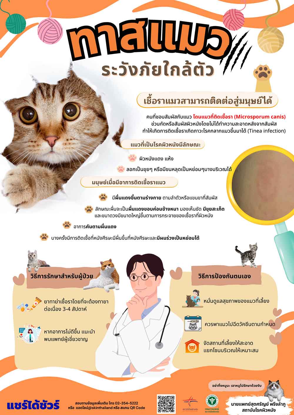 ทาสแมวต้องระวัง เชื้อราแมว ภัยใกล้ตัวจากสัตว์เลี้ยงสู่คน หากติดเชื้อมีอาการอย่างไร ทาสแมวต้องระวัง เชื้อราแมว ภัยใกล้ตัวจากสัตว์เลี้ยงสู่คน หากติดเชื้อมีอาการอย่างไร