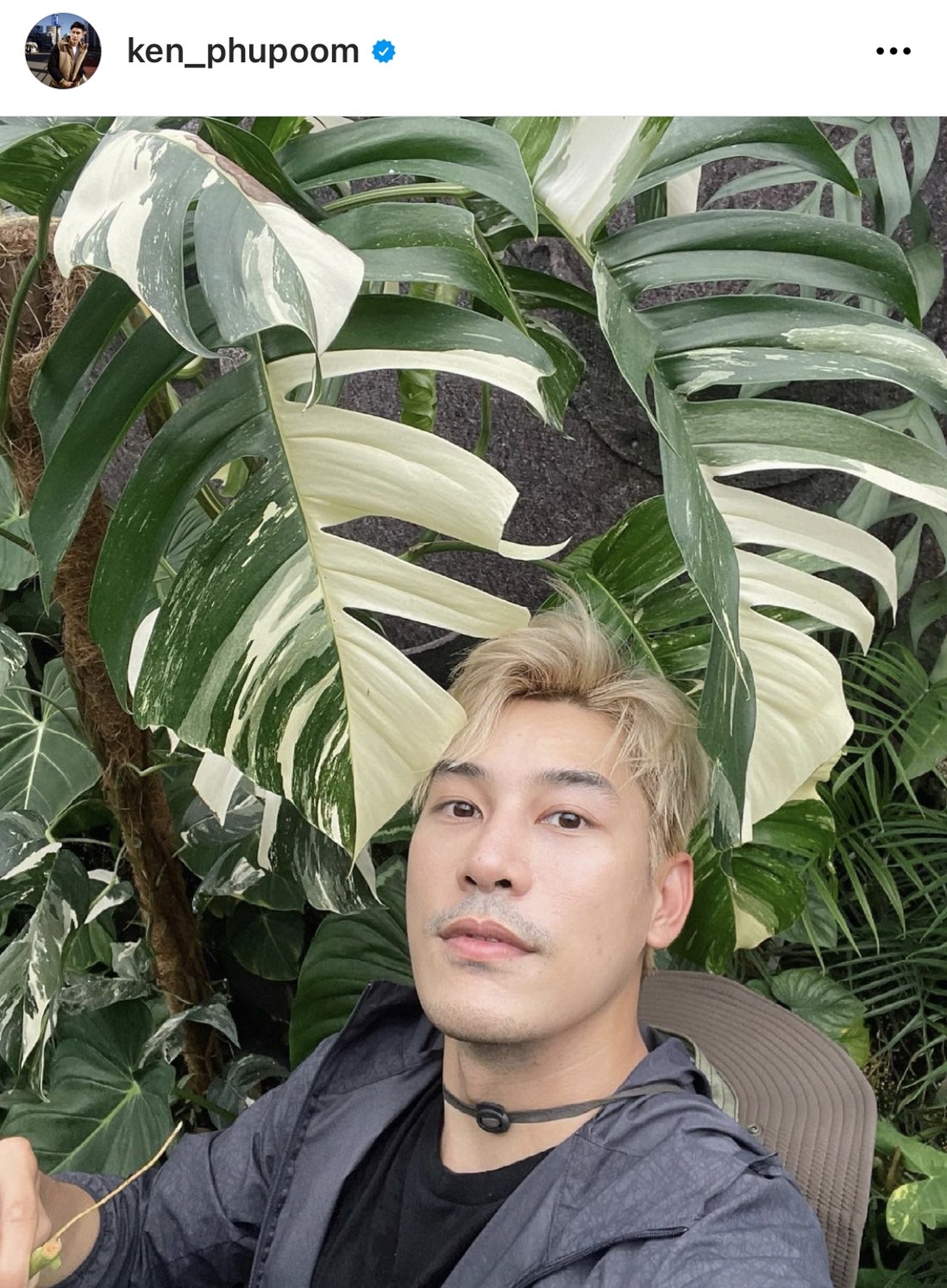 จากหลักร้อยสู่หลักล้าน เคน ภูภูมิ เผยรายได้สุดปังจากการขายต้นไม้ จากหลักร้อยสู่หลักล้าน เคน ภูภูมิ เผยรายได้สุดปังจากการขายต้นไม้