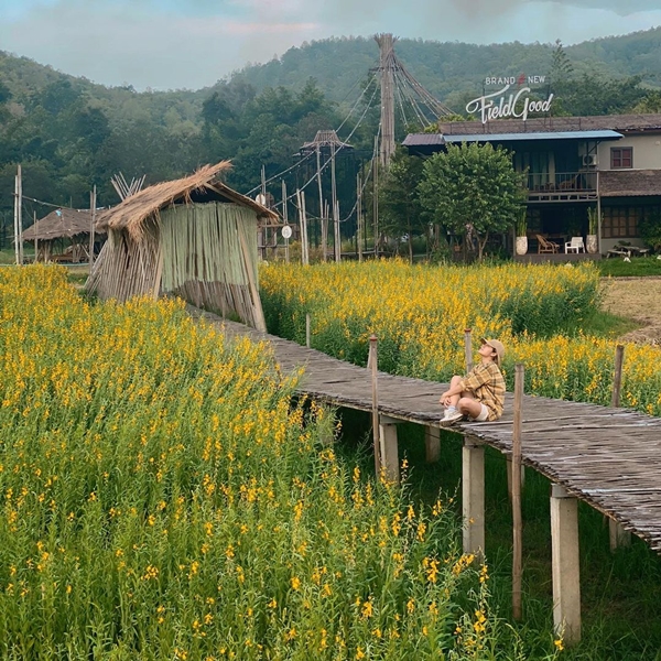 นิว นภัสสร ประกาศปิด!! ร้านอาหารที่เชียงใหม่ นิว นภัสสร ประกาศปิด!! ร้านอาหารที่เชียงใหม่