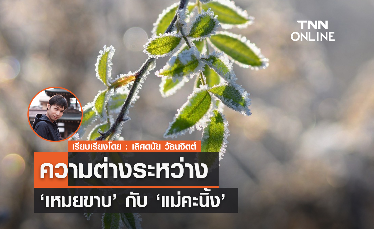 ความต่างระหว่าง "เหมยขาบ" กับ "แม่คะนิ้ง"