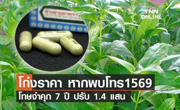 โก่งราคา​ "ฟ้าทะลายโจร" ระวังเจอโทษหนัก พบเห็นแจ้ง 1569
