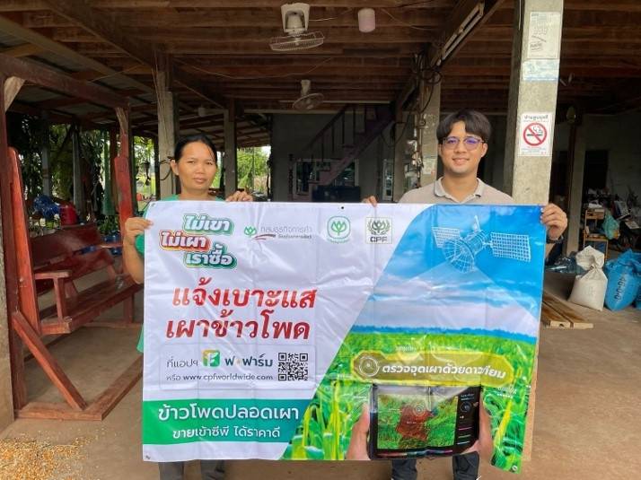ซีพี “เปิดช่องทางแจ้งเบาะแสเผาข้าวโพด” ตามแนวทาง “ไม่เขา ไม่เผา เราซื้อ”