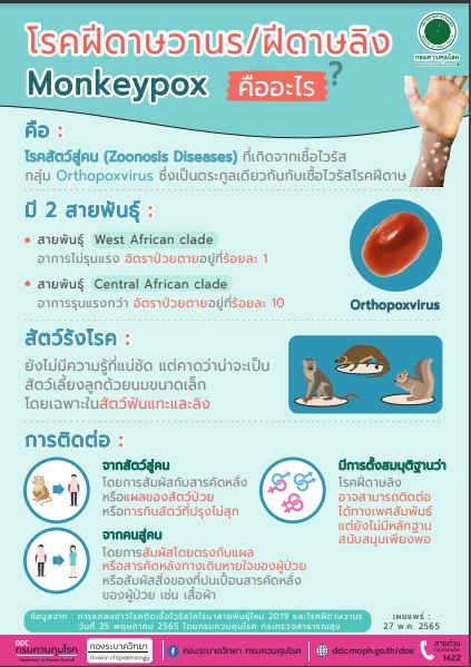 ฝีดาษลิง ติดต่อทางไหน อาการเป็นอย่างไร กี่วันมีผื่นแดง ตุ่มหนอง?