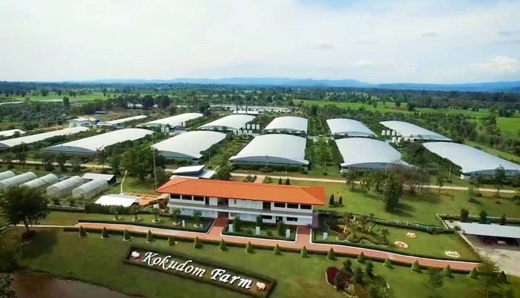 ตามไปดู CPF Greenfarm เลี้ยงหมูปลอดสาร เป็นมิตรสิ่งแวดล้อม ตามไปดู CPF Greenfarm เลี้ยงหมูปลอดสาร เป็นมิตรสิ่งแวดล้อม