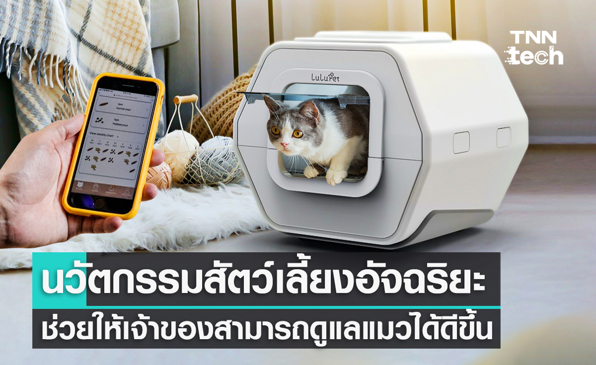 ส่องนวัตกรรมสัตว์เลี้ยงอัจฉริยะ ช่วยให้เจ้าของสามารถดูแลแมวได้ดีขึ้น