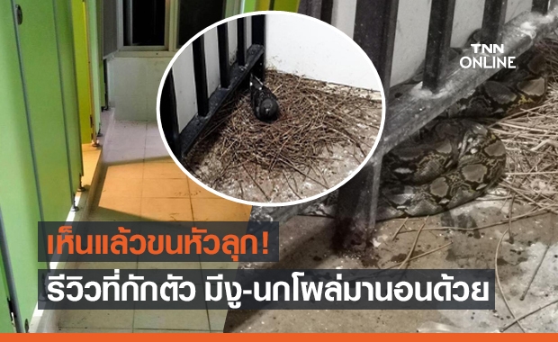 แชร์สนั่น! สถานที่กักตัวเห็นแล้วต้องร้อง ซ้ำมีแขกที่ไม่ได้รับเชิญ