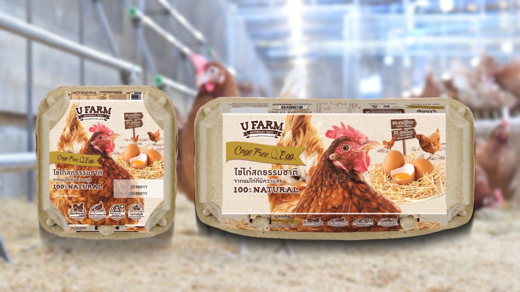 ซีพีเอฟ คัดสรร ไข่ไก่ Cage Free สด สะอาด ปลอดภัย มาตรฐานระดับสากล ซีพีเอฟ คัดสรร ไข่ไก่ Cage Free สด สะอาด ปลอดภัย มาตรฐานระดับสากล