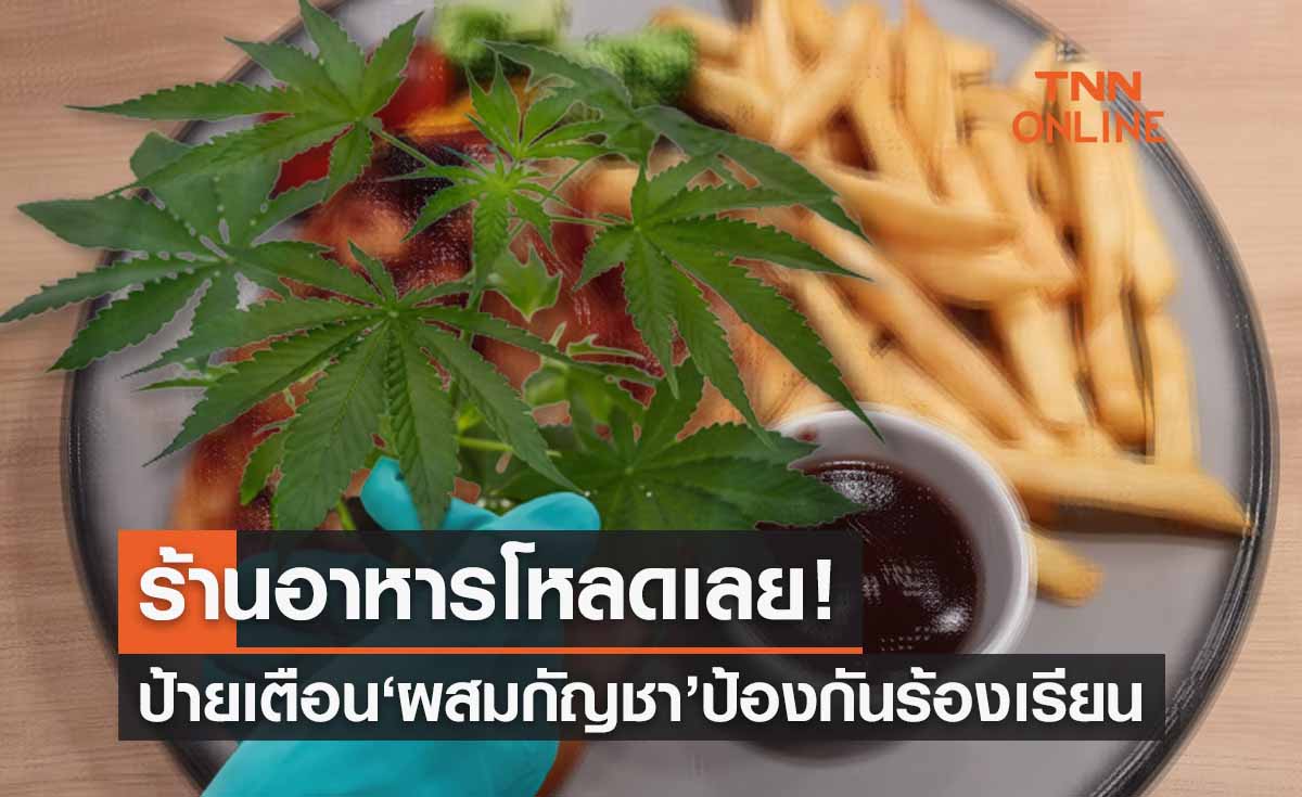 แจกป้ายเตือน ‘อาหารผสมกัญชา’ โหลดใช้เลยถ้าไม่อยากโดนผู้บริโภคร้องเรียน