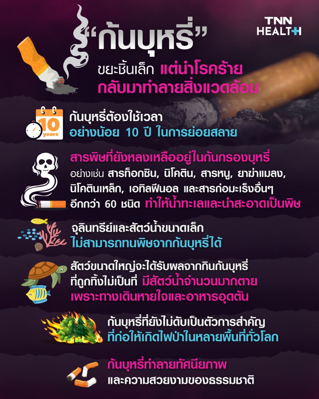 บุหรี่ทำลายสิ่งแวดล้อม ขยะชิ้นเล็กที่นำโรคร้ายกลับมาสู่โลก