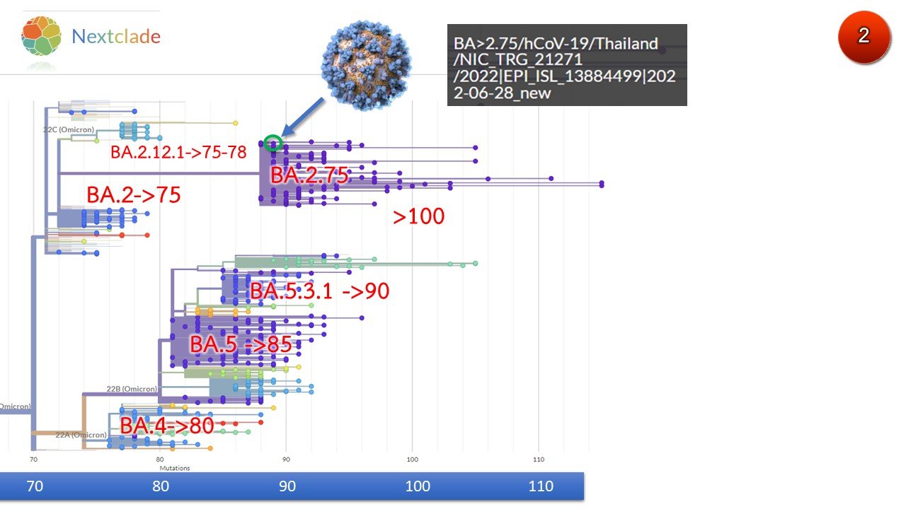 ไทยพบแล้ว 1 ราย ติดโอมิครอน BA.2.75 ไทยพบแล้ว 1 ราย ติดโอมิครอน BA.2.75
