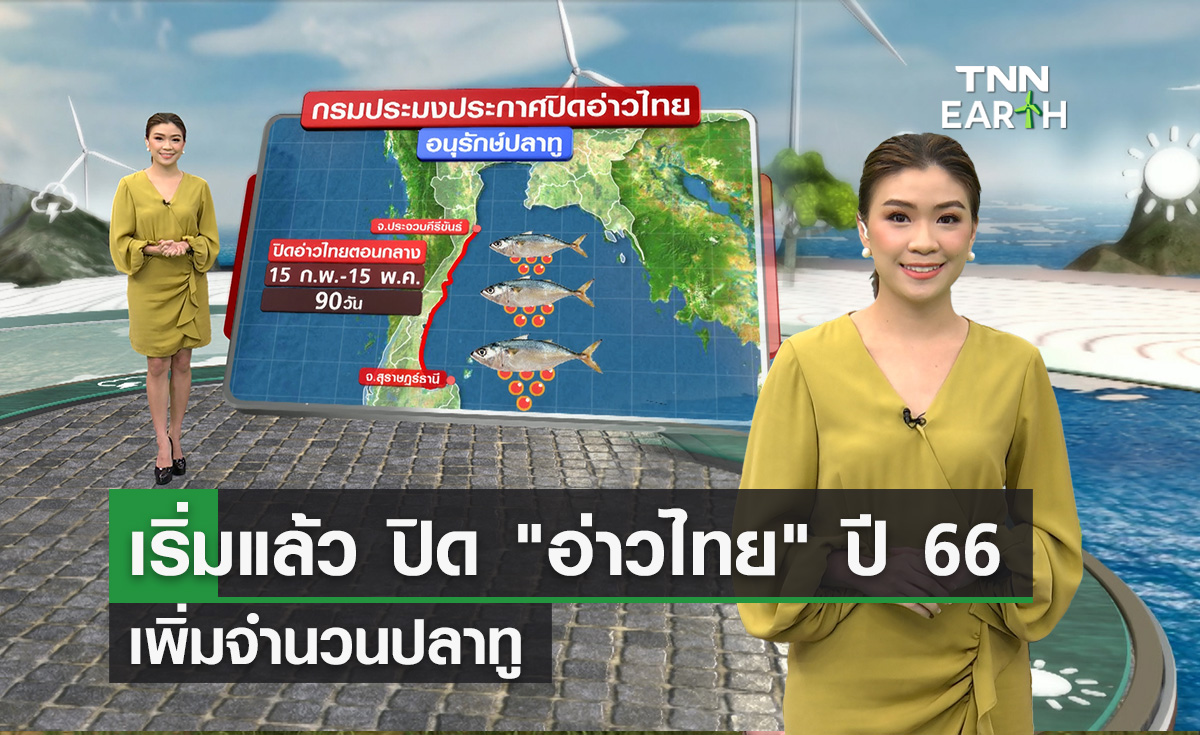 กรมประมงประกาศปิด “อ่าวไทย” ปี 66 เพิ่มจำนวนปลาทู