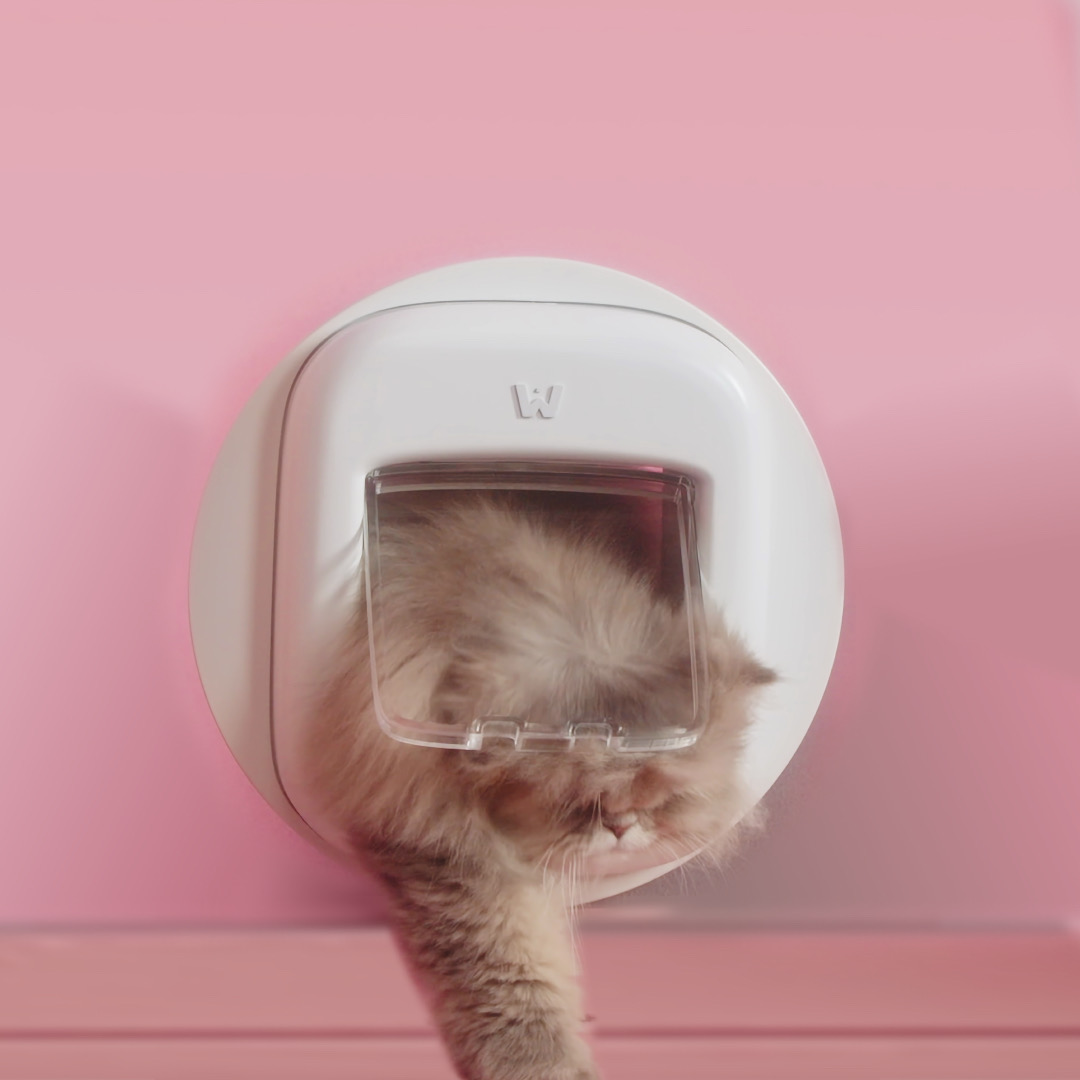 ประตูแมว Pawly Door ใช้เทคโนโลยีจำใบหน้าแมวป้องกันผู้บุกรุก ประตูแมว Pawly Door ใช้เทคโนโลยีจำใบหน้าแมวป้องกันผู้บุกรุก