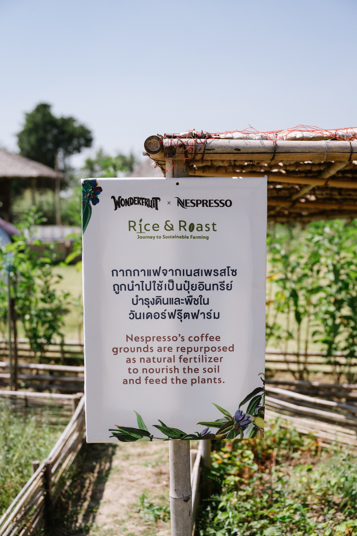 เนสเพรสโซจับมือวันเดอร์ฟรุ๊ต จัดกิจกรรม Nespresso x Wonderfruit Rice & Roast: Journey to Sustainable Farming
