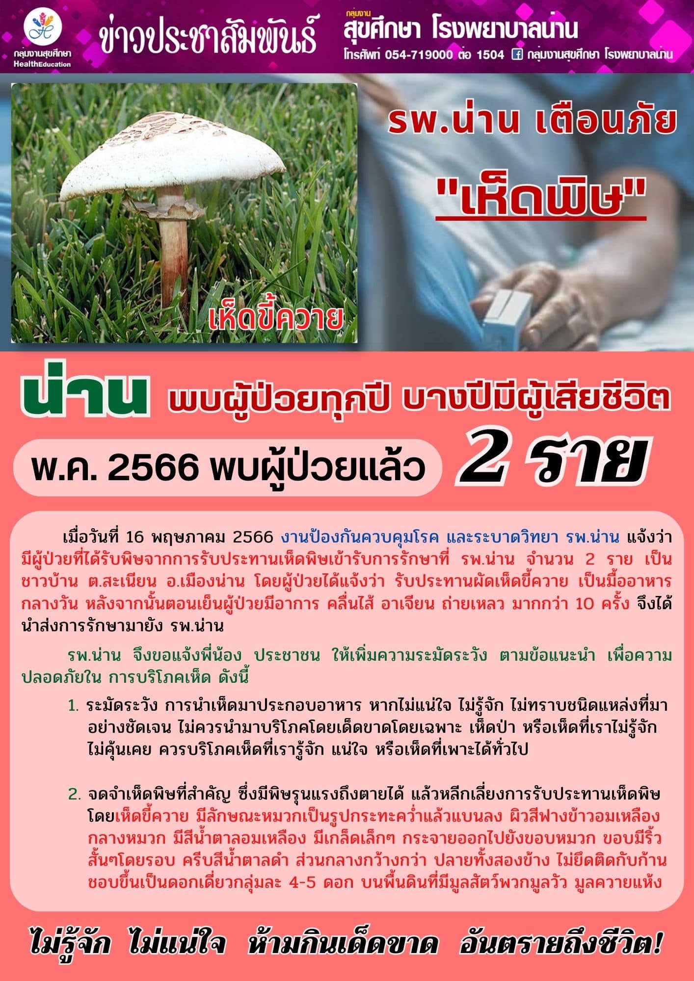 ฤดูฝนระวัง เห็ดพิษ ทานผิดโดยไม่ระวัง อันตรายถึงชีวิต!