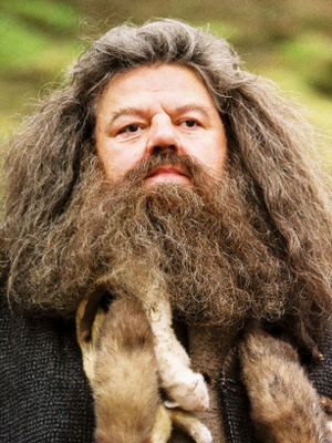 เสียชีวิตแล้ว!! 'ร็อบบี้ โคลทราน’ ผู้สวมบท 'แฮกริด’ หนัง Harry Potter วัย 72 ปี