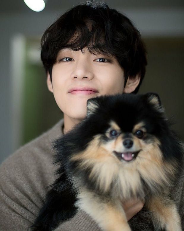 แฟนๆ ทั่วโลกอวยพรวันเกิด 'เจ้ายอนทัน’ น้องโฮ่งเซเลบของ ‘วี BTS’ แฟนๆ ทั่วโลกอวยพรวันเกิด 'เจ้ายอนทัน’ น้องโฮ่งเซเลบของ ‘วี BTS’