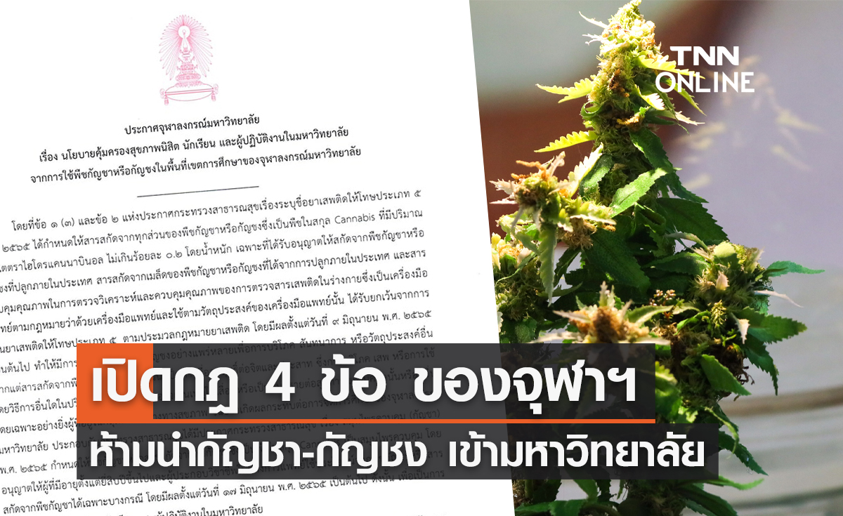 เปิดกฎ 4 ข้อ จุฬาฯ ห้ามนำกัญชา-กัญชง เข้ามาในมหาวิทยาลัย 