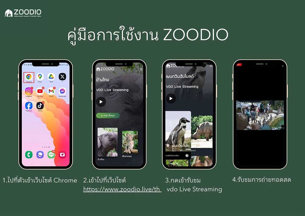 ตามติดชีวิต ”หมูเด้ง“ สวนสัตว์เปิดเขาเขียวเปิดไลฟ์สตรีมให้ชมความน่ารัก 24 ชั่วโมง ตามติดชีวิต ”หมูเด้ง“ สวนสัตว์เปิดเขาเขียวเปิดไลฟ์สตรีมให้ชมความน่ารัก 24 ชั่วโมง